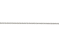 Platinum 18in Trace Chain