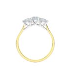 18ct Yellow Gold Brilliant Cut Diamond Trilogy Engagement Ring 1.00ct