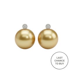 18ct White Gold Golden South Sea Pearl & Diamond Stud Earrings